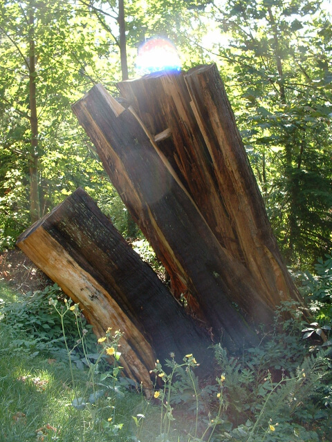 Stanley Park 10th view